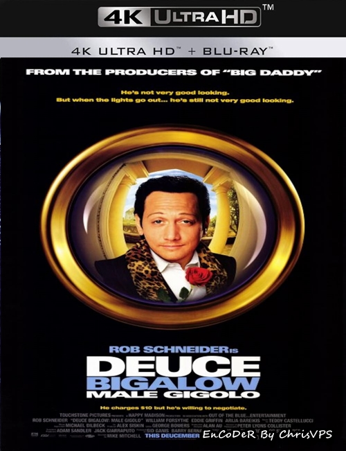 Boski żigolo / Deuce Bigalow: Male Gigolo (1999) MULTI.HDR.UP.AI.2160p.BluRay.DTS.HD.MA.AC3-ChrisVPS / LEKTOR i NAPISY