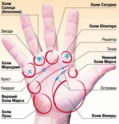 Значение линий на ладони правой и левой руки для женщин и мужчин. Хиромантия в картинках доступным