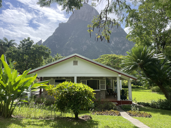 Discover Property for Sale in St Lucia