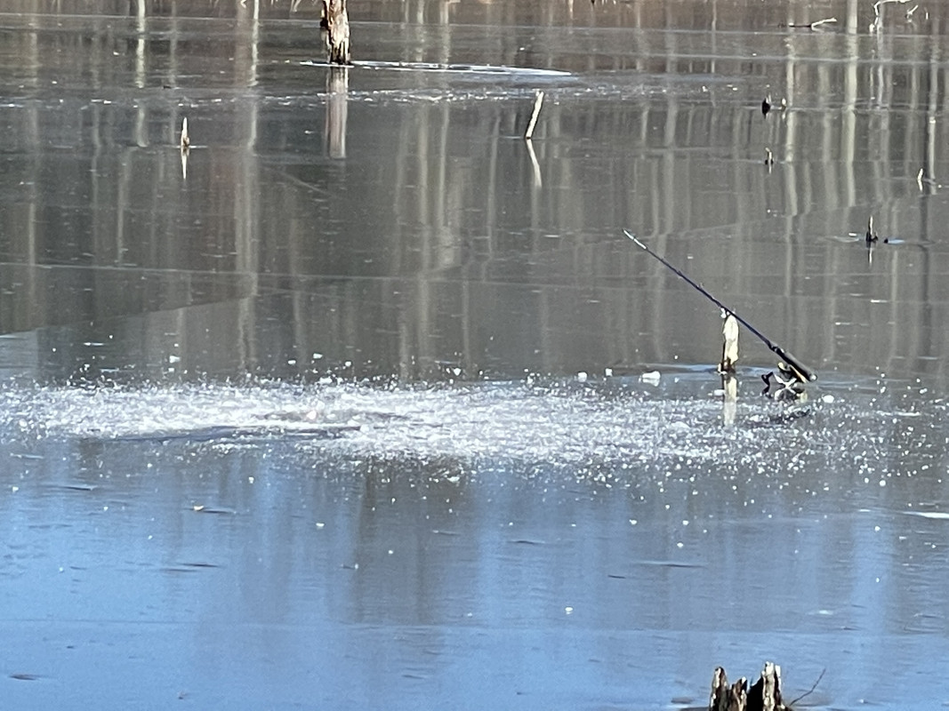 DBBE055B-8557-4FF0-B5E3-E2693A3904B9