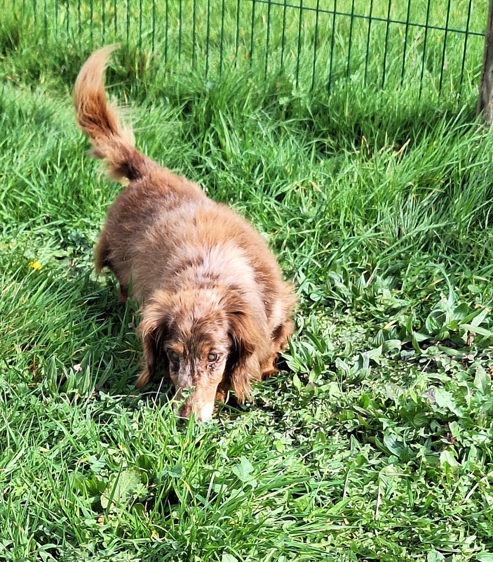 [Image: 20240316-115703-0.jpg]