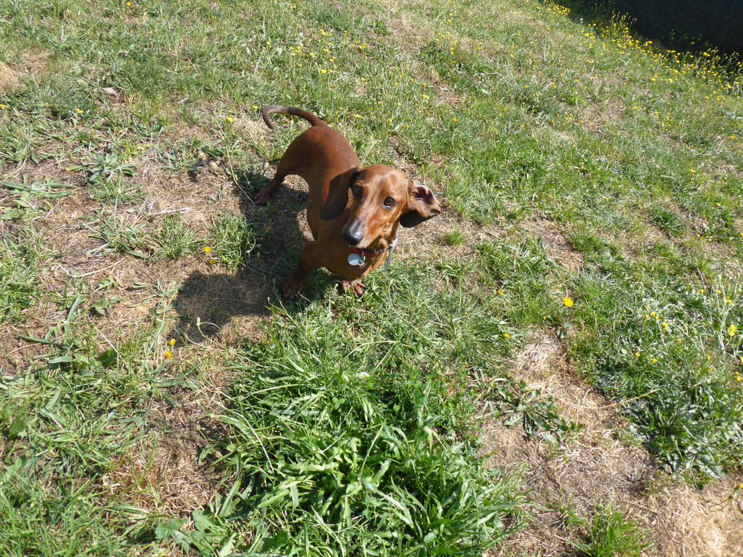 [Image: P1030426.jpg]