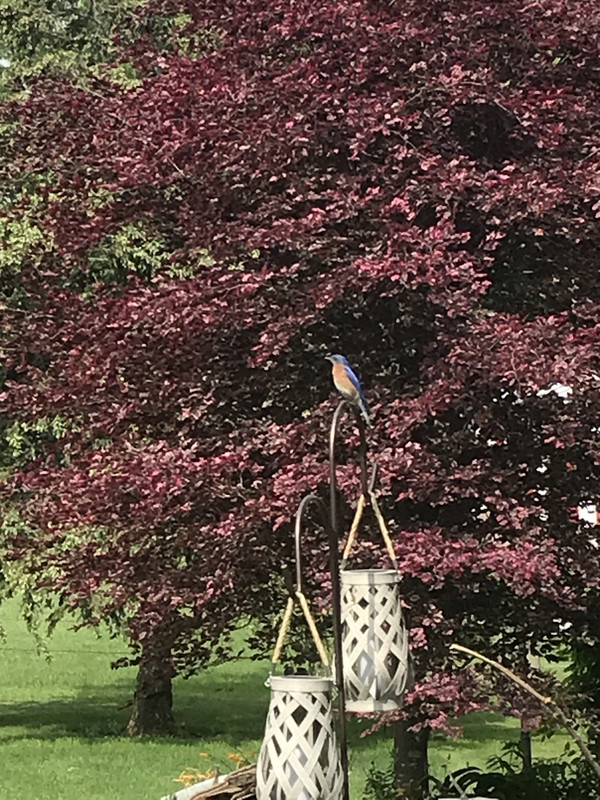 324A36B9-93FA-4F4C-8068-E7D9274E99E1