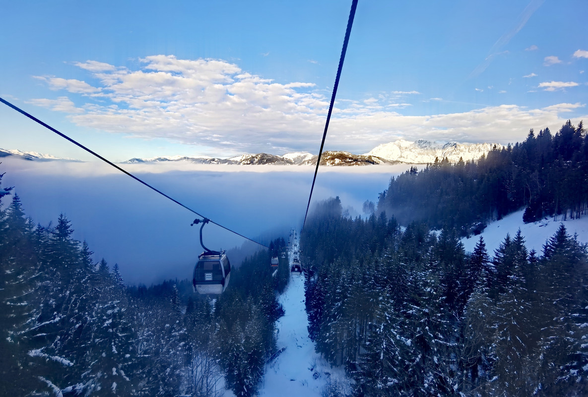 IMG_20220204_083530_1_edit_759360981717463