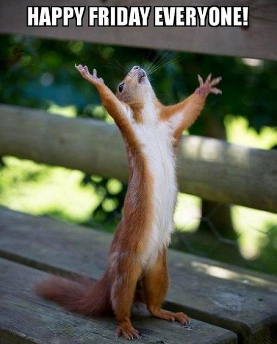 Good Morning, Good Afternoon, Good Evening, Good Night, Good Day! (#2)