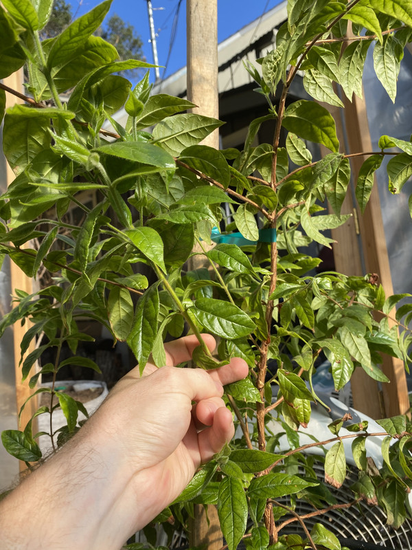 8BC38EFF-E9B0-495B-A548-B4E110860A3B