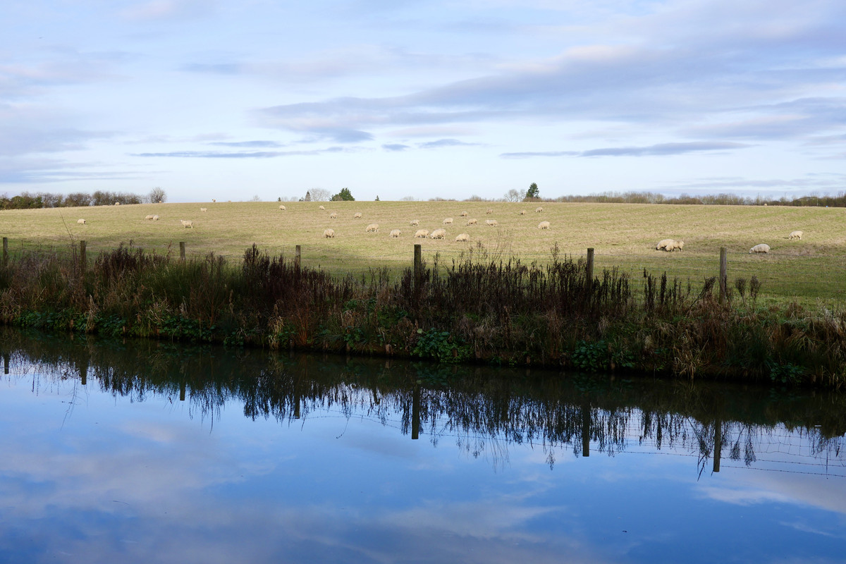 3821B0F2-F699-4A43-926C-26603A1F93EE