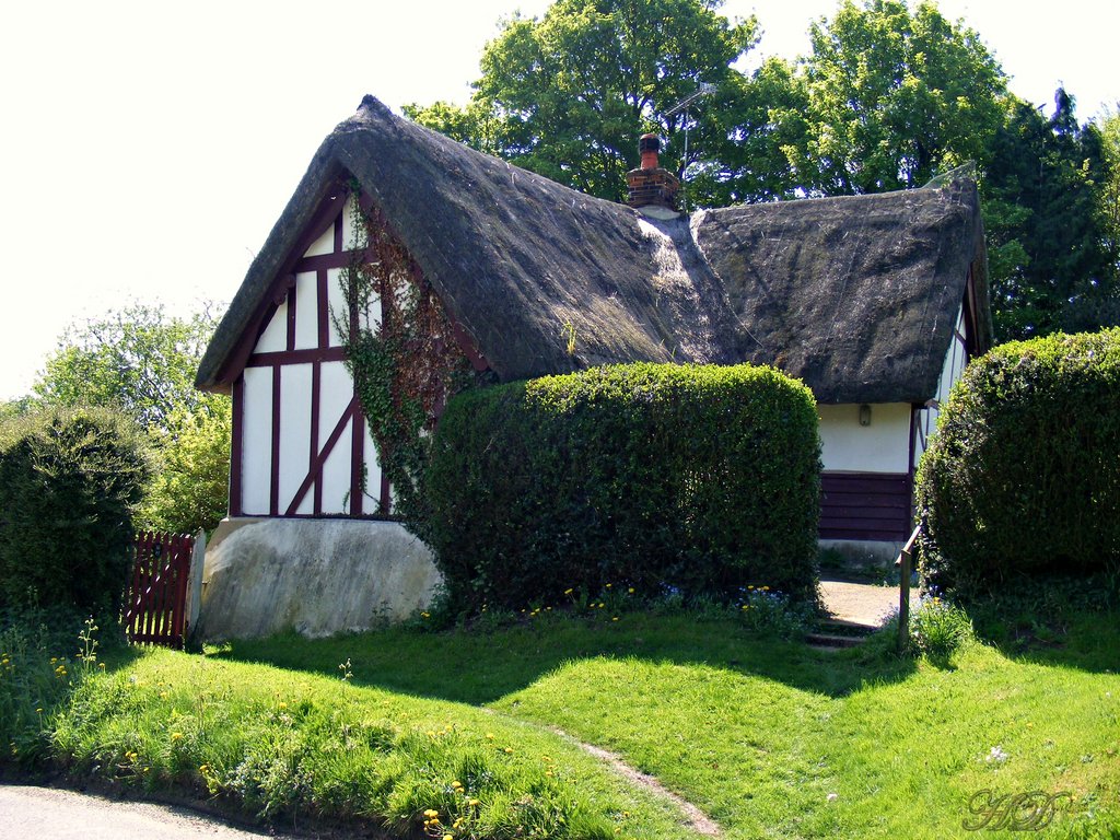 Houses-Thatch-cottage-HD.jpg