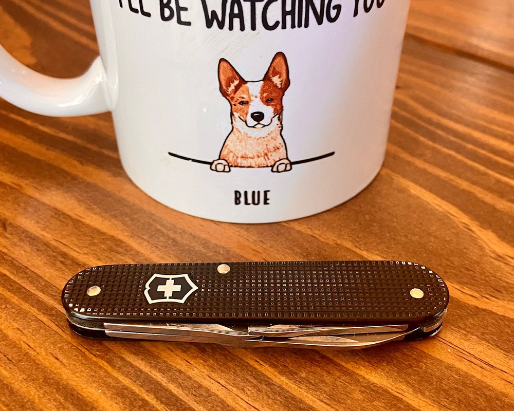 BC19FB47-3FD8-42C0-BC1A-897B2DBC7490