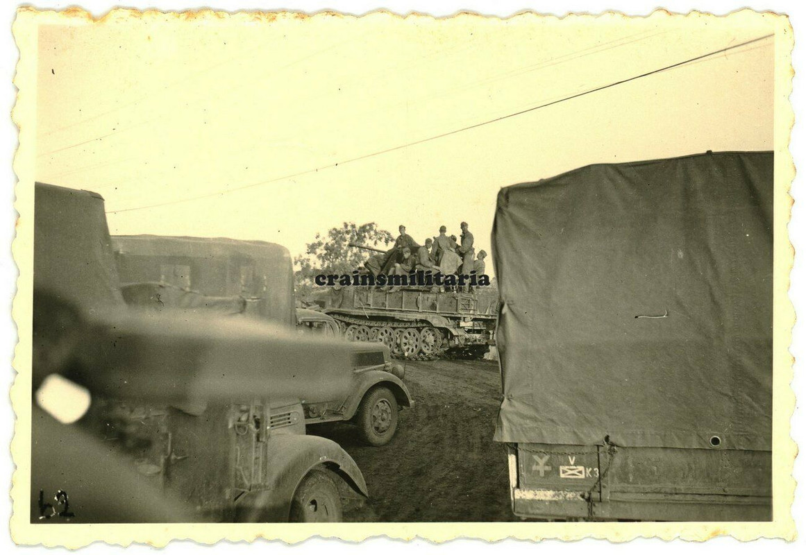 Orig. Foto SdKfz Halbkette m. Flak Geschütz Lkw mit 16.PD Wappen in Russland