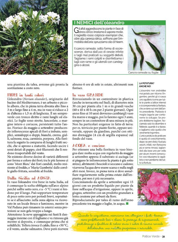 Pol Ver Ago 2021 (6)