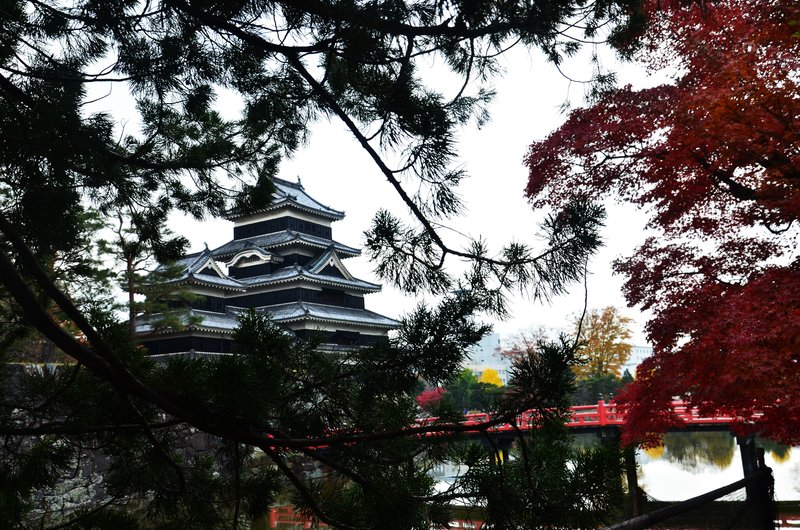 Japón y sus Pueblos-2024 - Blogs de Japon - Matsumoto-13 y 14-11-2024 (54)