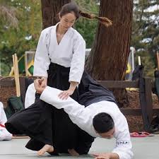 Aikido-elbow-lock.jpg