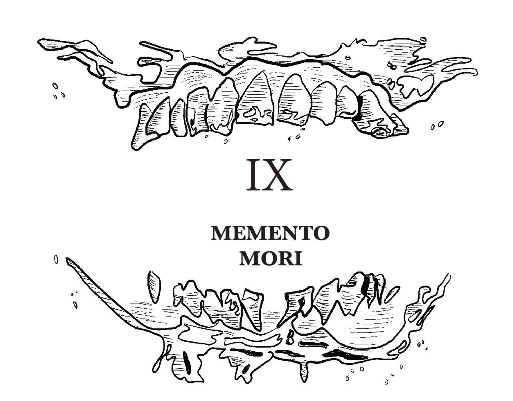 RE:PE_Cabezada_PaulaRuiz