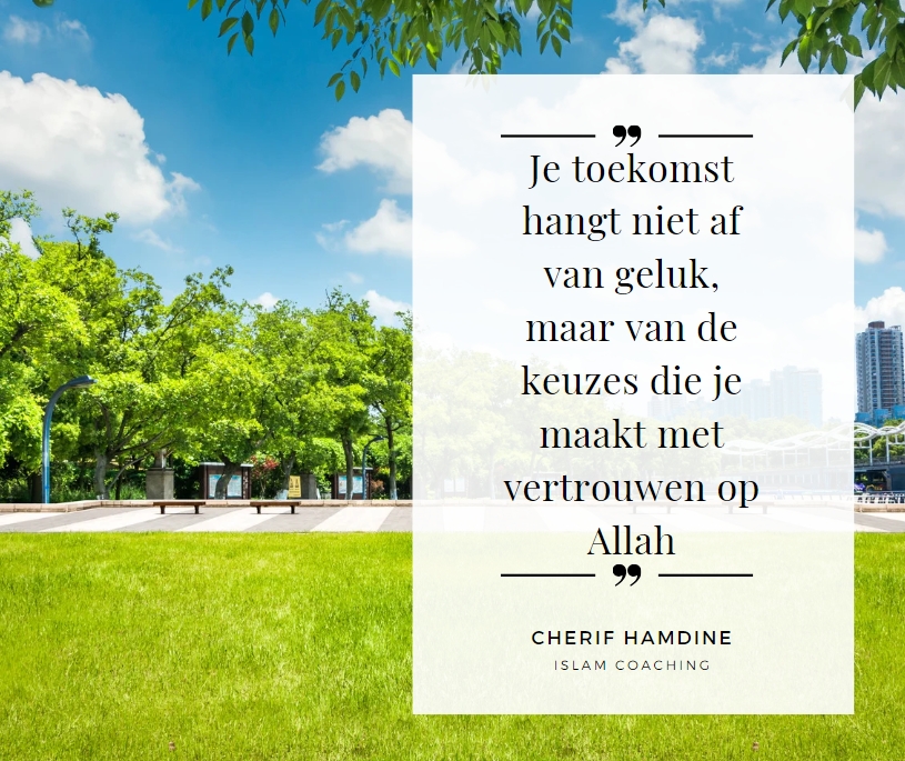 Schermopname-20-2-2025-10433-www-canva-com
