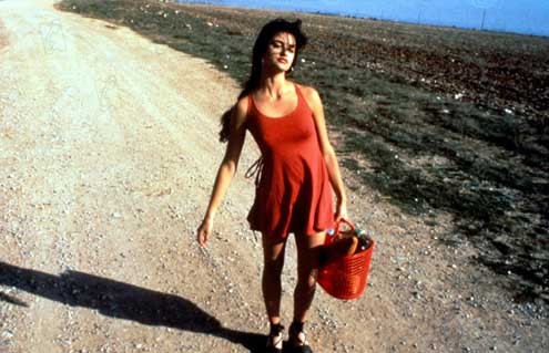 18863673.jpg-r_1920_1080-f_jpg-q_x-xxyxx