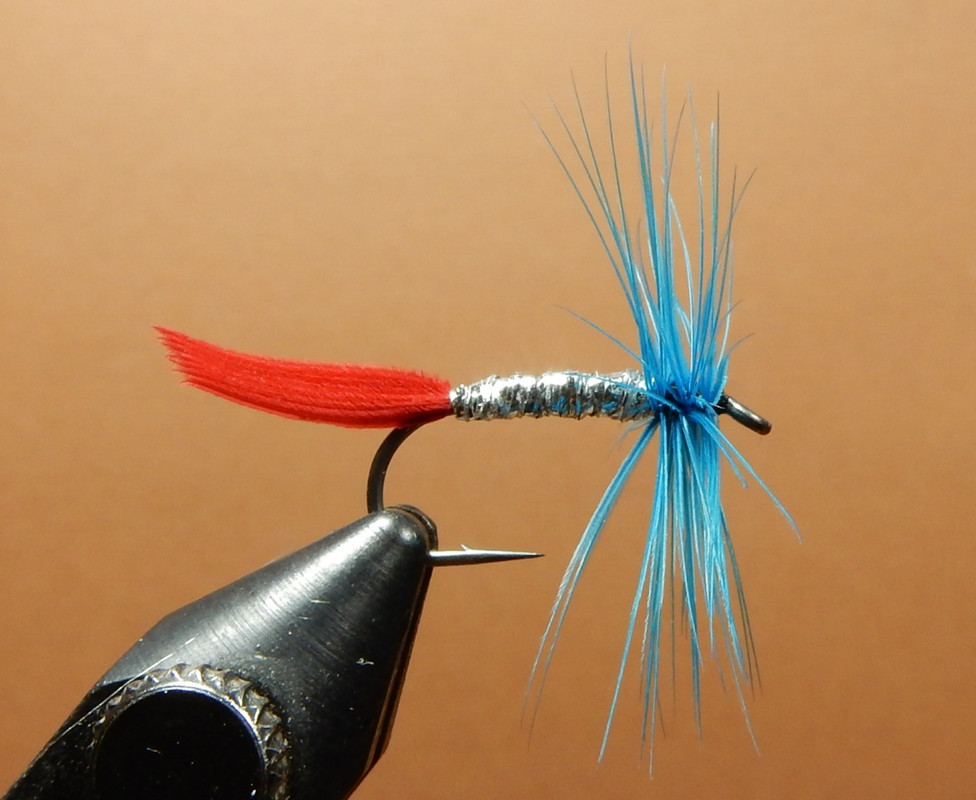 Victory-Fly-1080.jpg