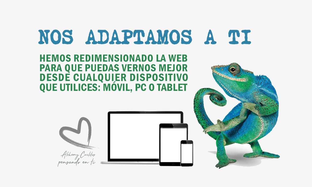 PUBLICIDAD-REFORMA-TIENDA-2020.jpg