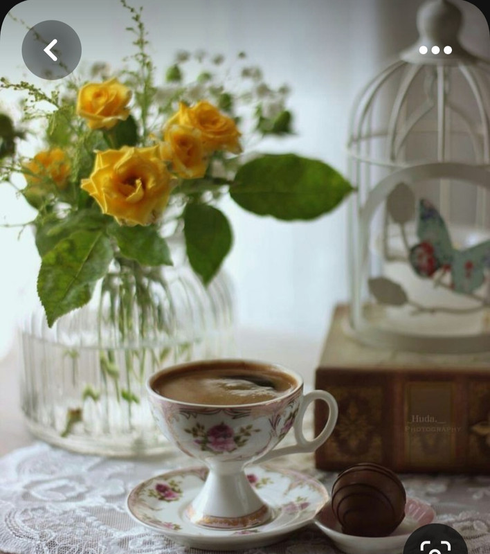 Screenshot_20230615_233044_Pinterest