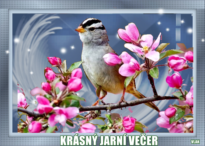 An den Beitrag angehängtes Bild: https://i.postimg.cc/prGTg3MS/2-5.png