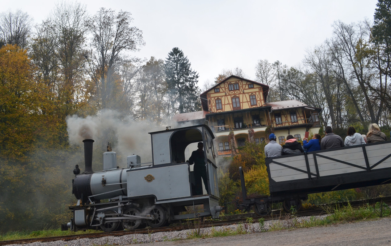 Žamberecký divočák 2019 535