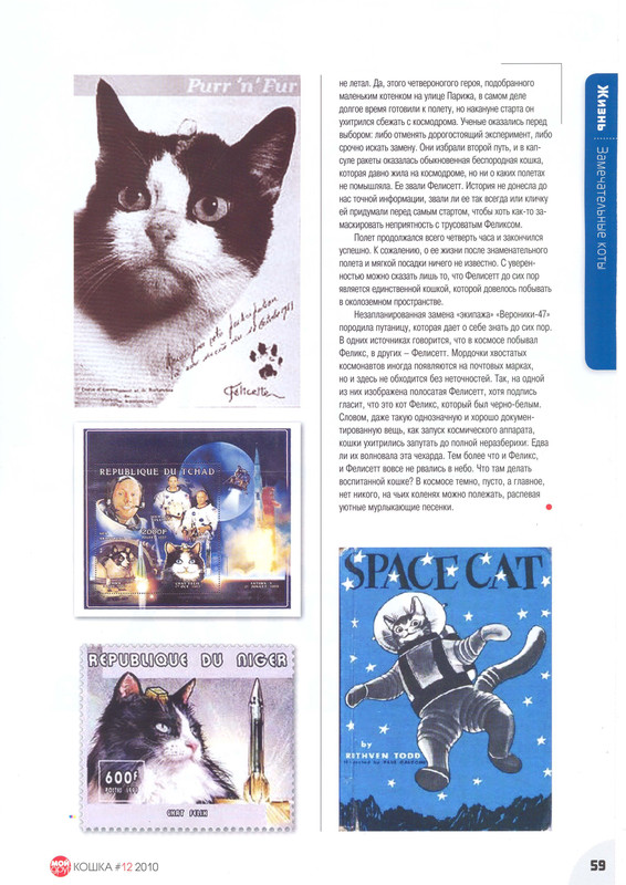 Мой друг кошка 12 2010-61