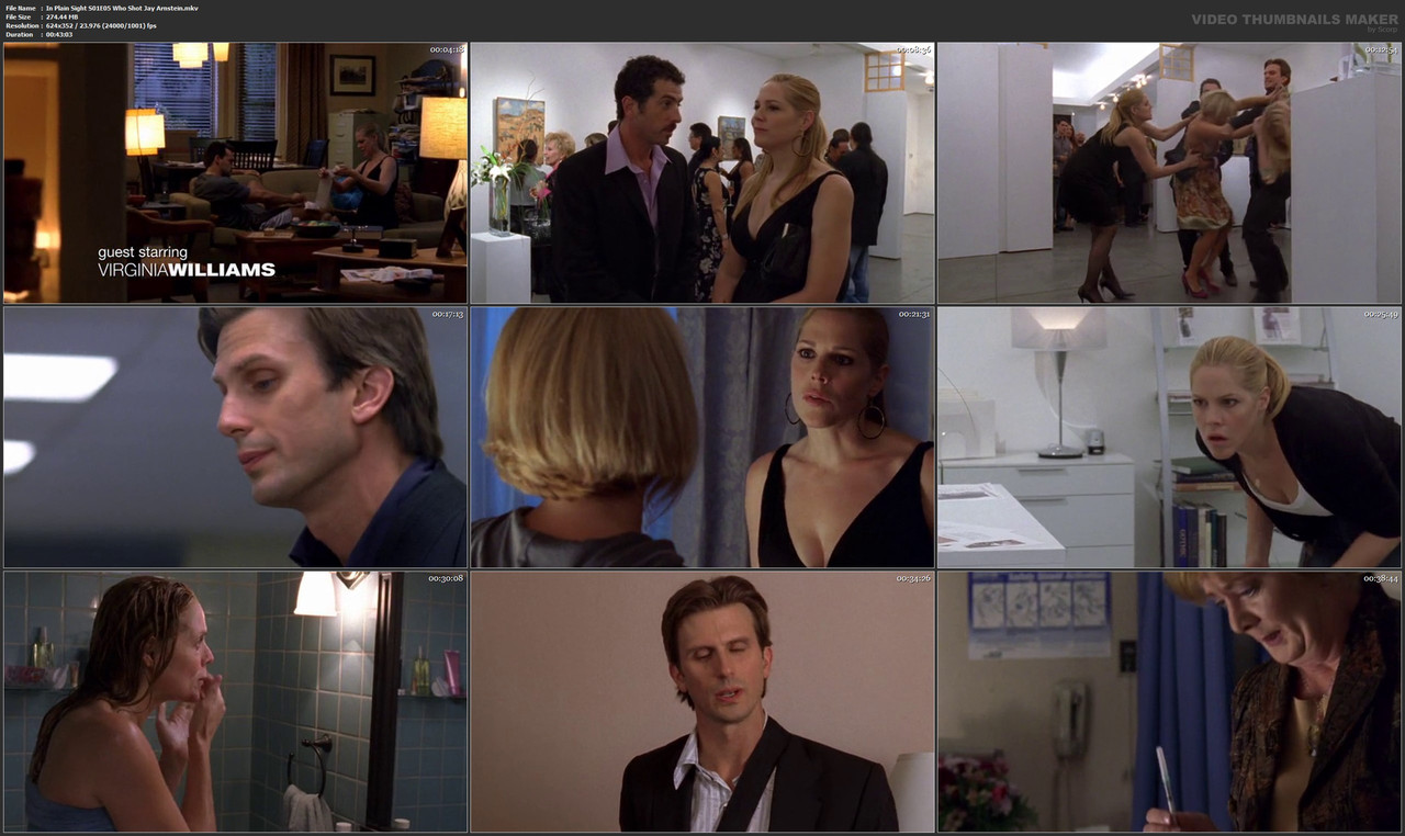 In Plain Sight S01E05 Who Shot Jay Arnstein.mkv