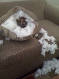 IwasCold