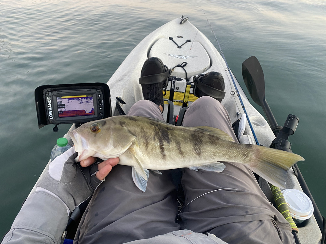 0F86461A-7814-4055-AFEB-9805C31A1B7A