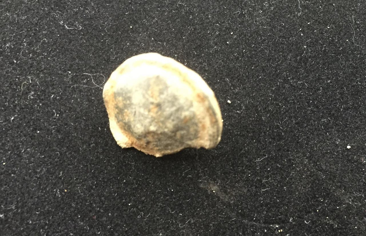 6E6EF9F6-85E3-4606-8045-C886BCD04627