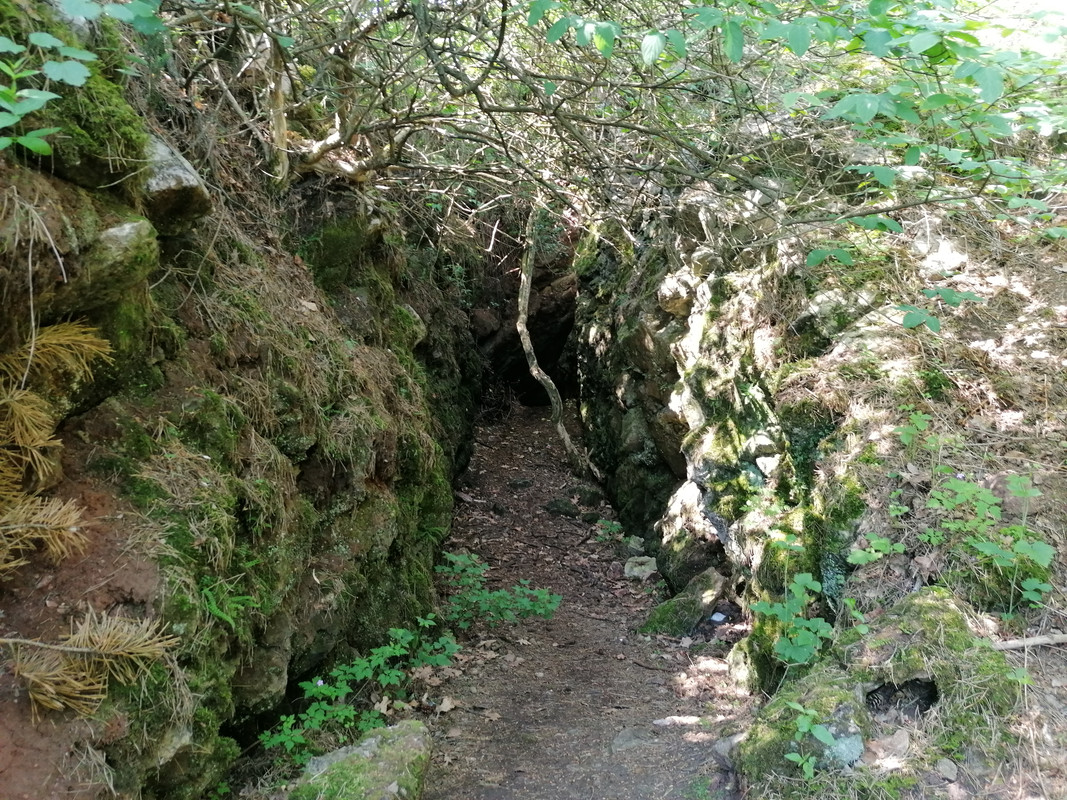 09.02 - IMG_20200613_100950 (Czesio1)