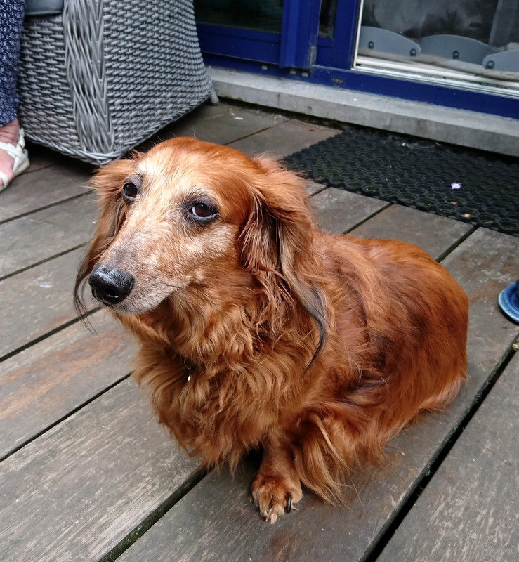 [Image: 20230620-003934.jpg]