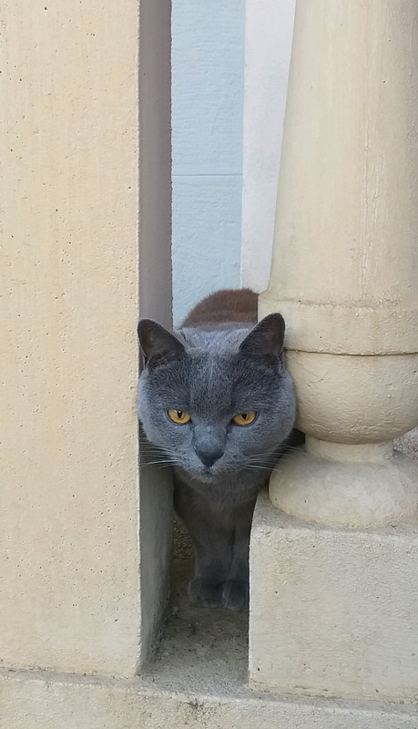 b56459f13fe99c528844dd8cfd2d4715