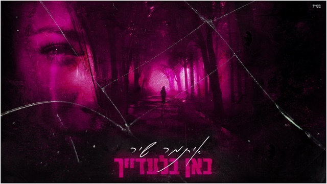 תמונה