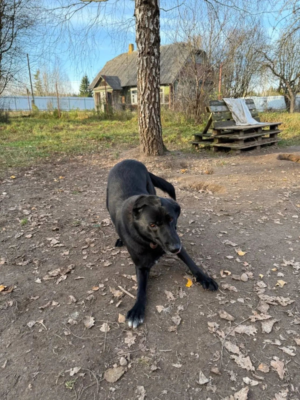 Sa Bqss IHXGq LPMnm ALIVk7Cmft8YTx Yn WZLXr neag SUBUyvh2qsz GUo Hp KTc OKp M2fm JMSRt Jb TQbku Vxk0