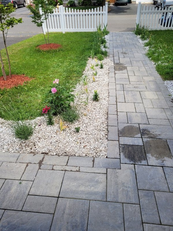 Cleaner  Rockbed 20240529