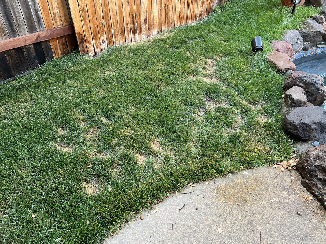 578414A9-7ACB-4880-A416-6037D0760AA2