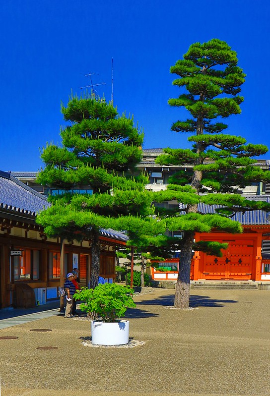greentreestokyo.jpg