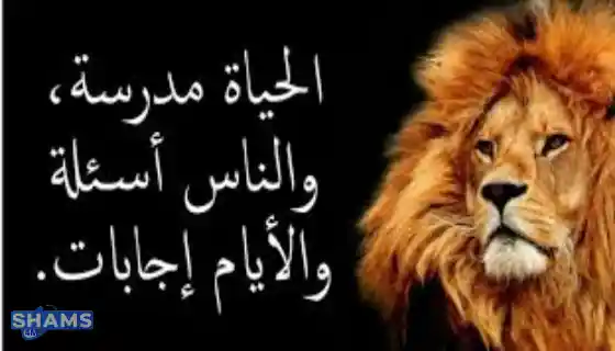 اقوال وحكم مأثورة عن الحياة Sayings-and-proverbs-about-life