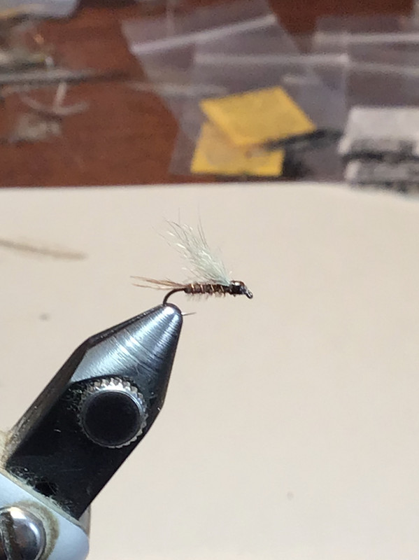 4543D197-6871-4D15-925B-684E95F29960