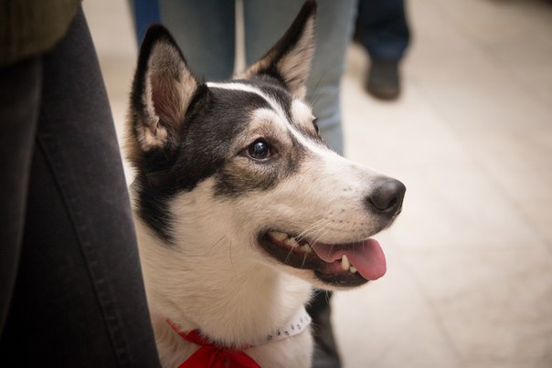 076F96C5-6625-4131-BBEE-F4483F78E475