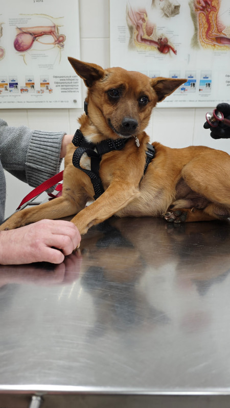 photo_2025-02-23_22-34-53