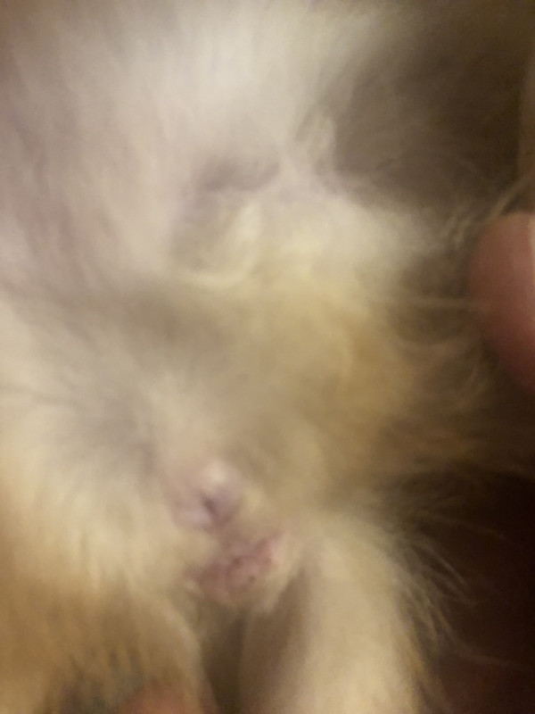 9D3A3A69-C229-4BCA-B546-89F454E8E631