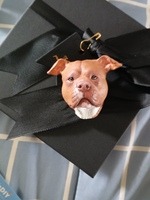 Pet keepsake customer photo