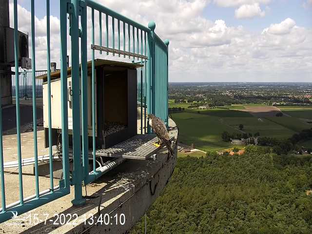 campics © VWGGemert vanaf 1 juli 2022 - Pagina 5 2