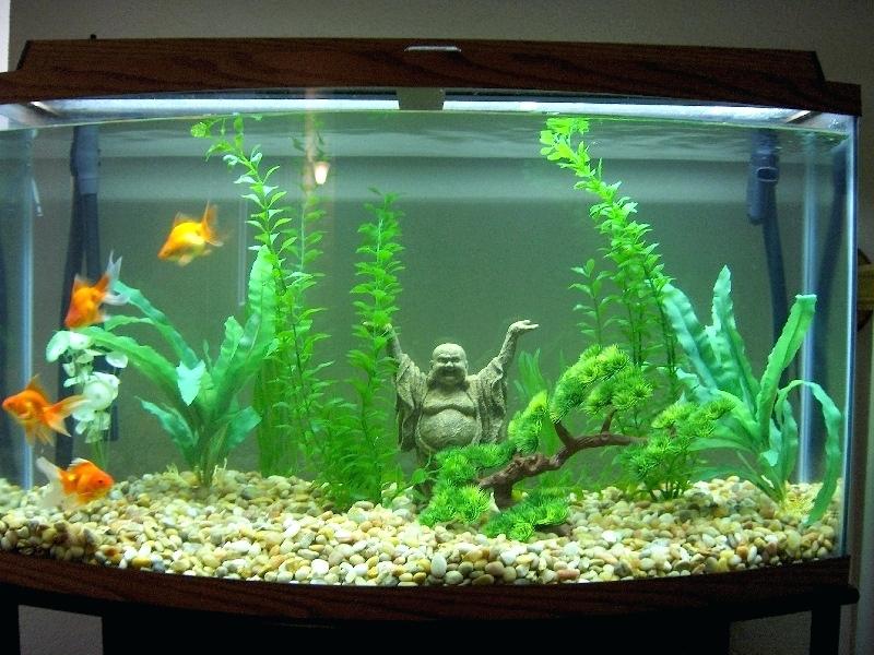 fish-tank-decoration-ideas-for-goldfish-fishing-net-wall-decor