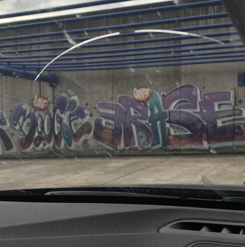 IMG-7664.jpg