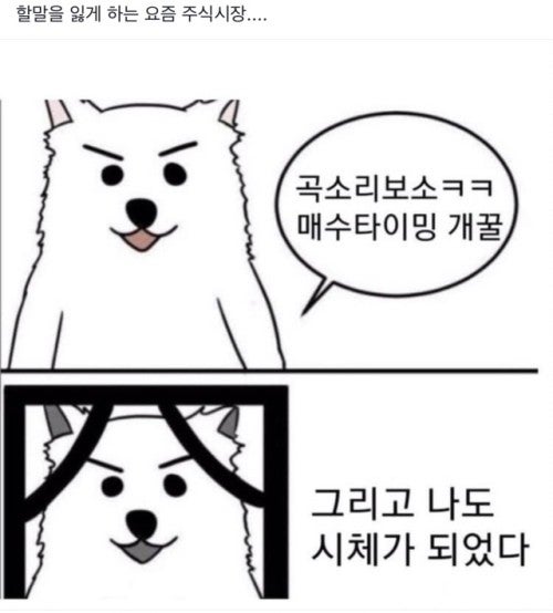 주식 짤