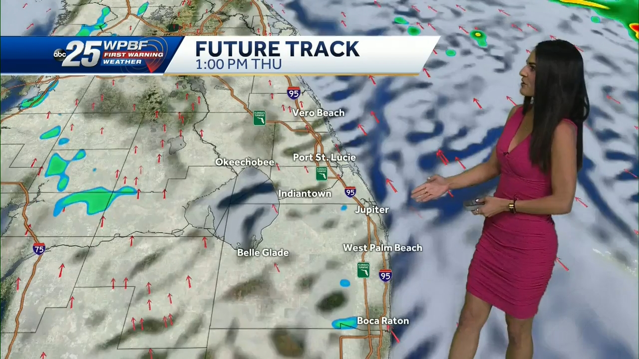 12.23 - 14.00.00 - WPBF 25 News at 9 00 AM..ts_snapshot_00.28.16.232