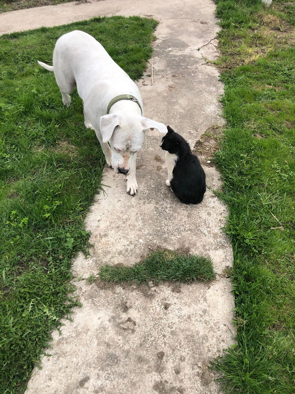 B74D3C01-5867-4B45-A3A4-6C732F38F94D